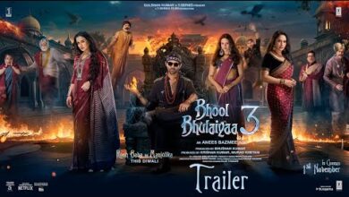 Bhool Bhulaiyaa 3 Movie